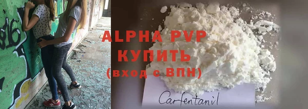 прущие грибы Куйбышев