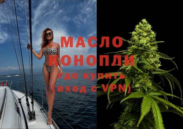 крисы Кулебаки