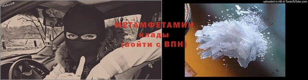 крисы Кулебаки