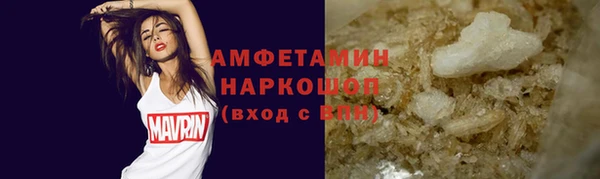крисы Кулебаки