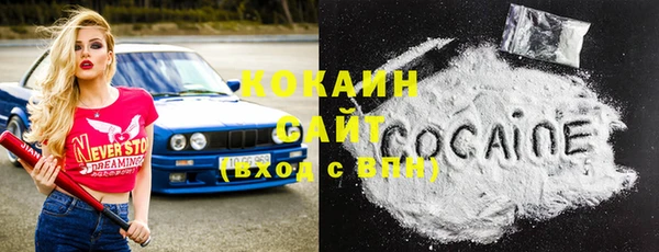 крисы Кулебаки