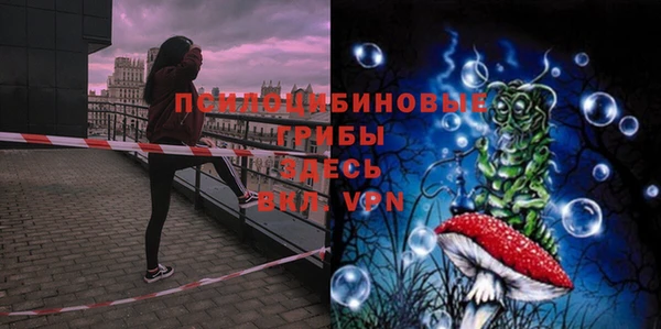 прущие грибы Куйбышев