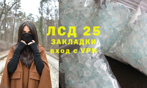 крисы Кулебаки
