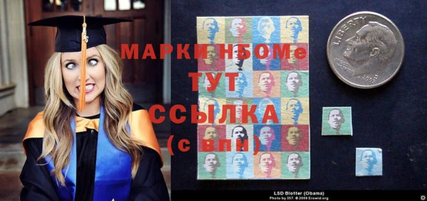 крисы Кулебаки