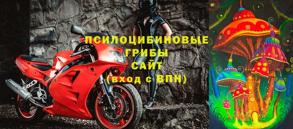 прущие грибы Куйбышев