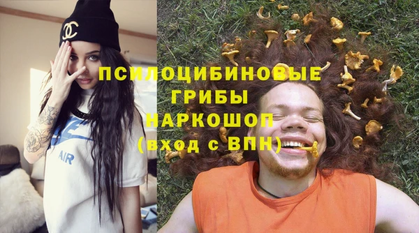 прущие грибы Куйбышев