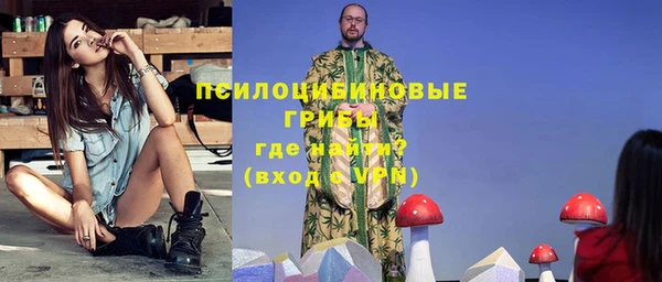 прущие грибы Куйбышев