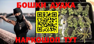 PSILOCYBIN Балаково