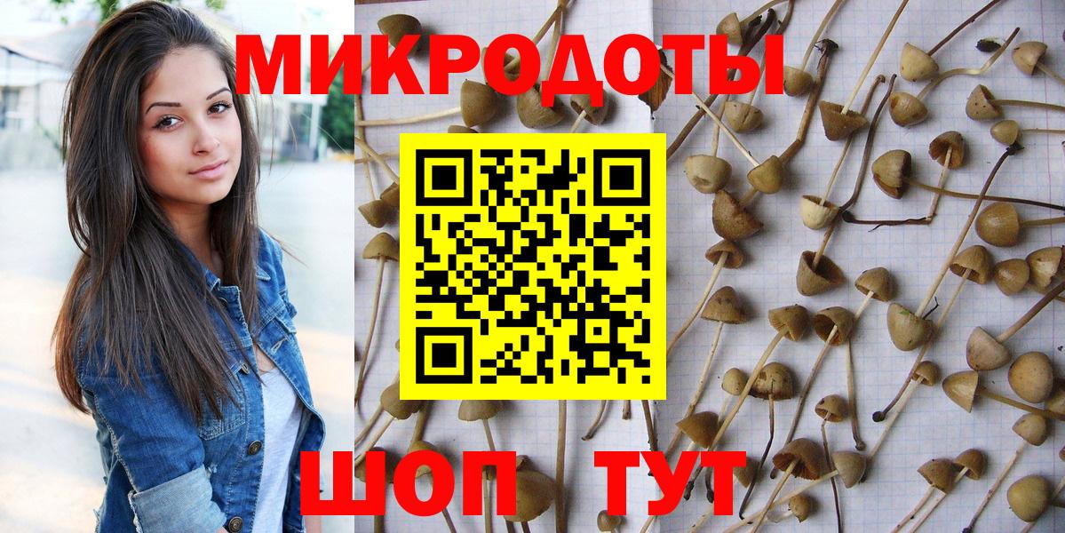 Псилоцибиновые грибы прущие грибы Подольск