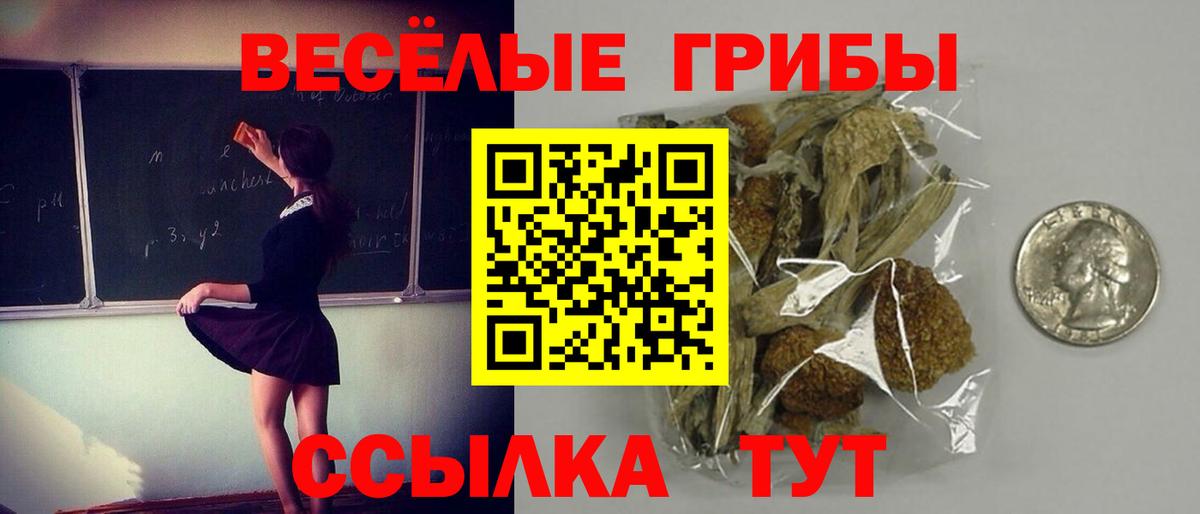 сколько стоит  Псилоцибиновые грибы Psilocybine cubensis  Псилоцибиновые грибы MAGIC MUSHROOMS  Вход с VPN  Подольск 